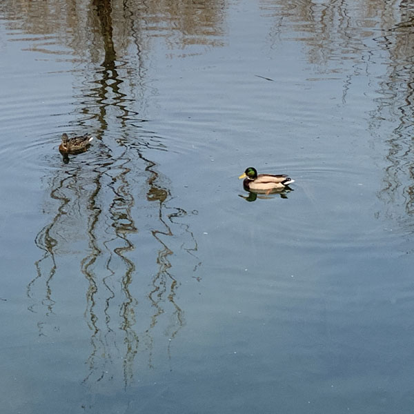 1710833015549527.jpg 8.jpg