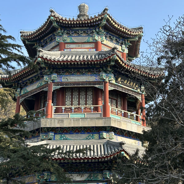 1710833020762763.jpg 9.jpg